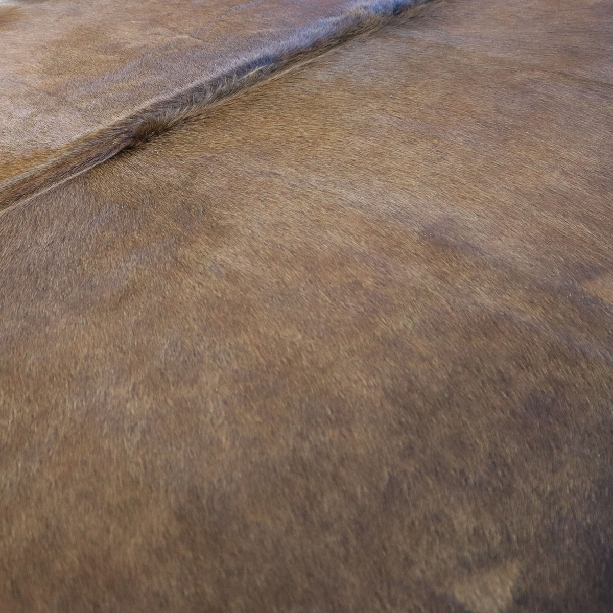 Kuhfell 636 – Rötlich, 200 × 190 cm – Ansicht 2