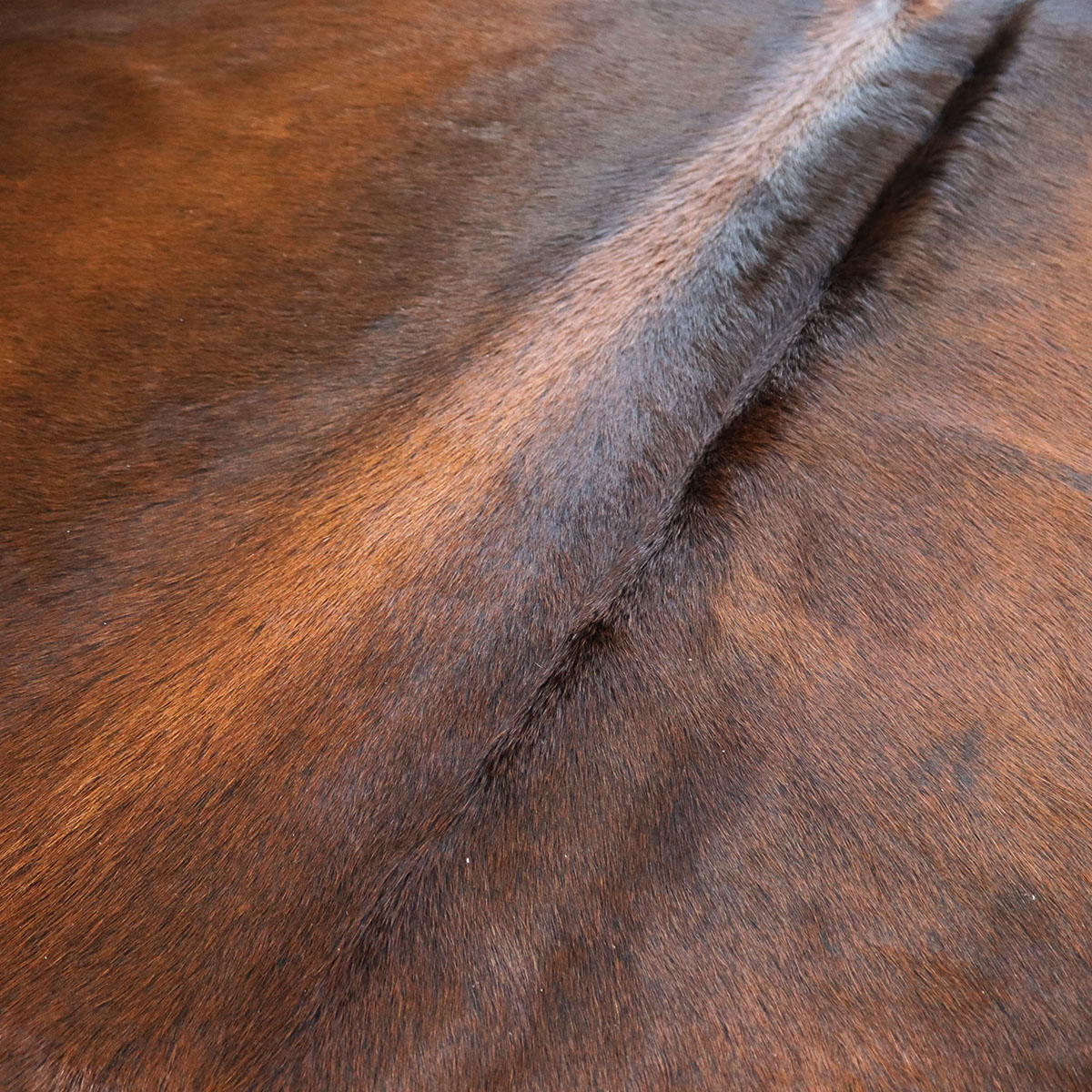 Kuhfell 622 – Rötlich, 240 × 230 cm – Ansicht 2