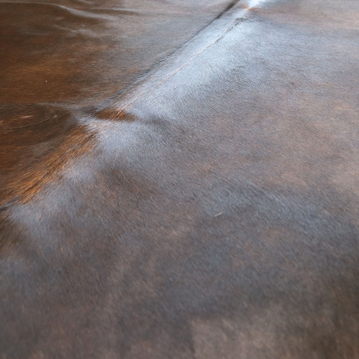 Kuhfell 613 – Dunkel, 230 × 200 cm – Ansicht 2