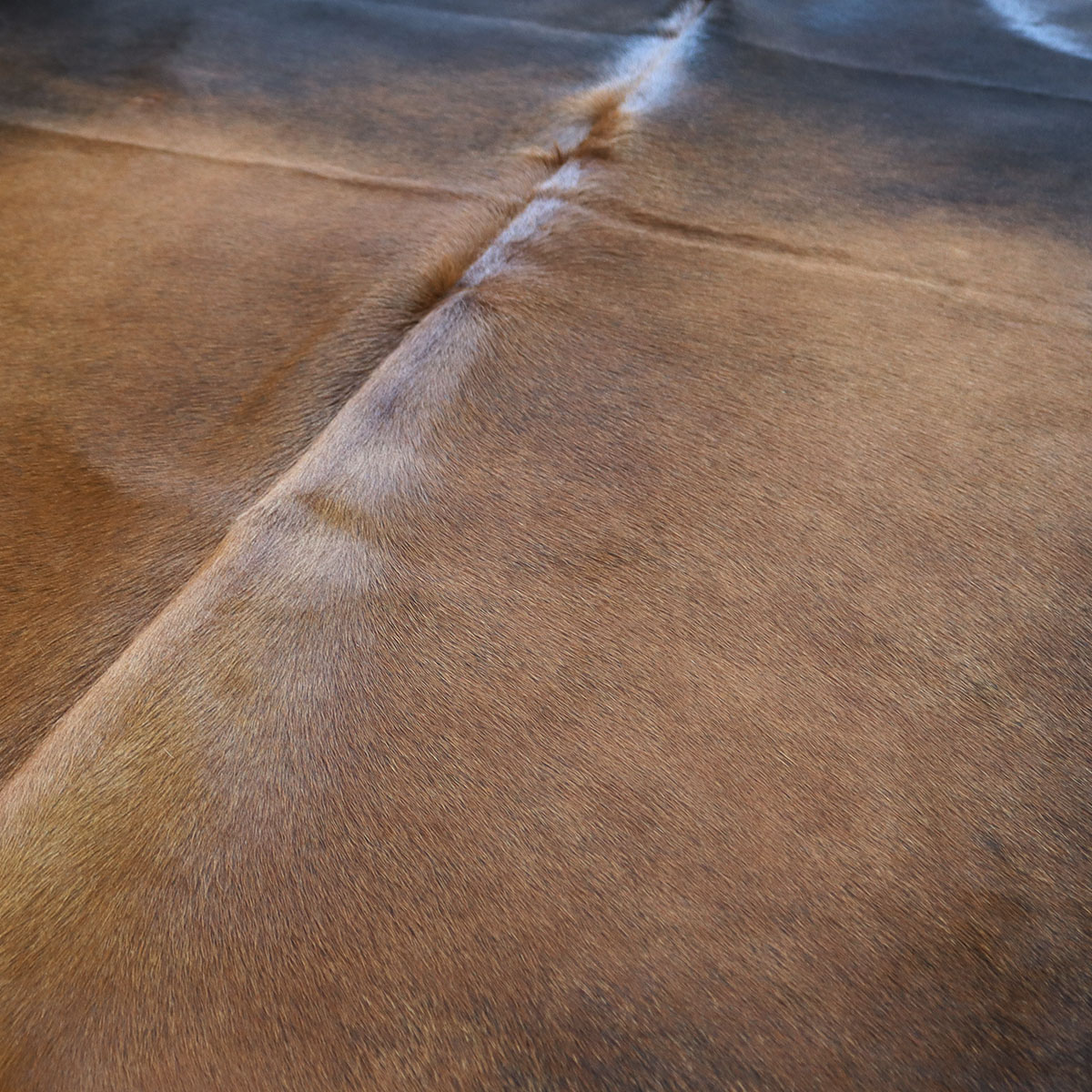 Kuhfell 611 – Rötlich, 200 × 180 cm – Ansicht 2